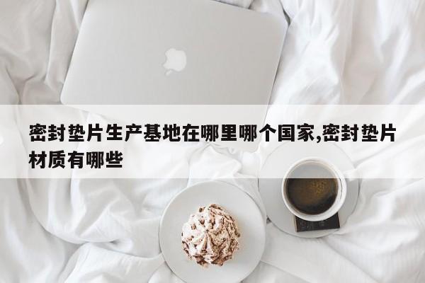 密封垫片生产基地在哪里哪个国家,密封垫片材质有哪些