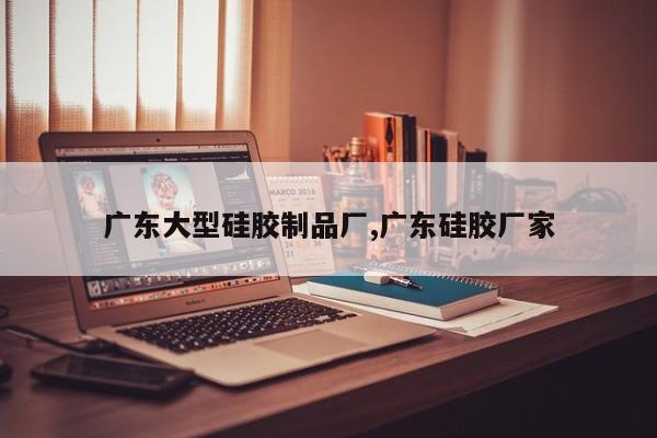 广东大型硅胶制品厂,广东硅胶厂家