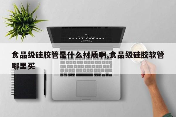 食品级硅胶管是什么材质啊,食品级硅胶软管哪里买
