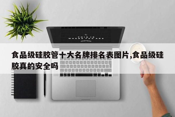 食品级硅胶管十大名牌排名表图片,食品级硅胶真的安全吗