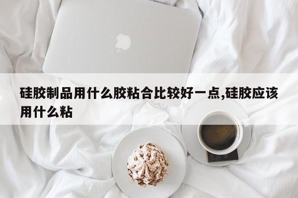硅胶制品用什么胶粘合比较好一点,硅胶应该用什么粘