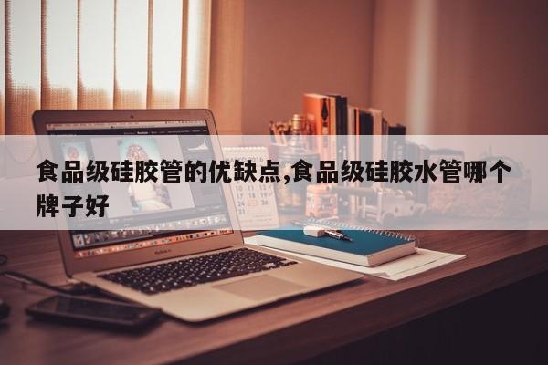食品级硅胶管的优缺点,食品级硅胶水管哪个牌子好