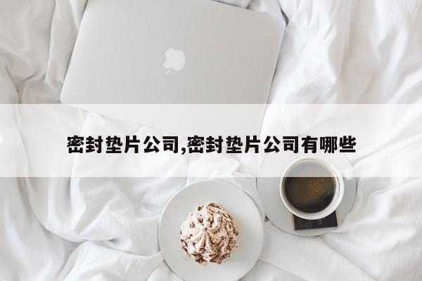 密封垫片公司,密封垫片公司有哪些