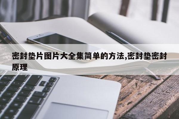 密封垫片图片大全集简单的方法,密封垫密封原理