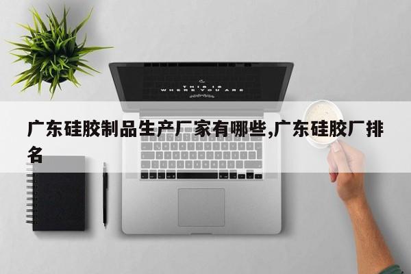 广东硅胶制品生产厂家有哪些,广东硅胶厂排名