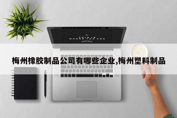 梅州橡胶制品公司有哪些企业,梅州塑料制品