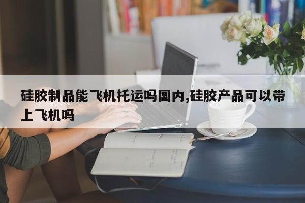 硅胶制品能飞机托运吗国内,硅胶产品可以带上飞机吗