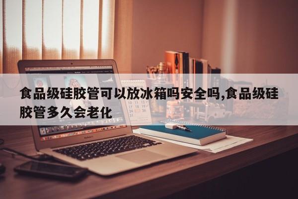 食品级硅胶管可以放冰箱吗安全吗,食品级硅胶管多久会老化