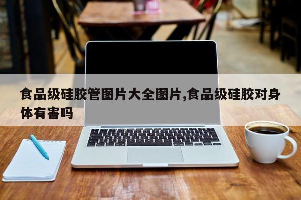 食品级硅胶管图片大全图片,食品级硅胶对身体有害吗