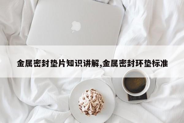 金属密封垫片知识讲解,金属密封环垫标准