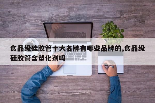 食品级硅胶管十大名牌有哪些品牌的,食品级硅胶管含塑化剂吗