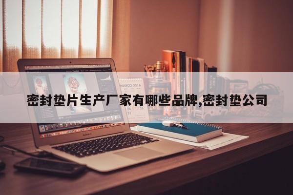 密封垫片生产厂家有哪些品牌,密封垫公司