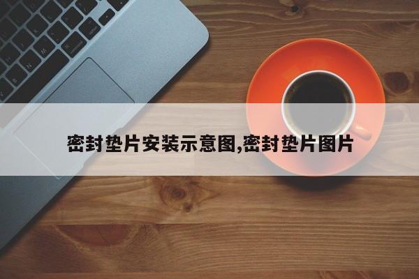 密封垫片安装示意图,密封垫片图片