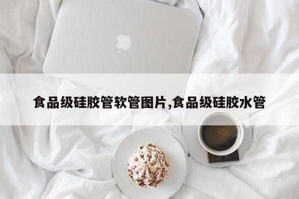 食品级硅胶管软管图片,食品级硅胶水管