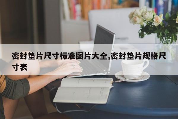 密封垫片尺寸标准图片大全,密封垫片规格尺寸表