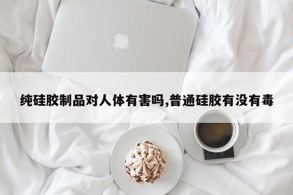 纯硅胶制品对人体有害吗,普通硅胶有没有毒