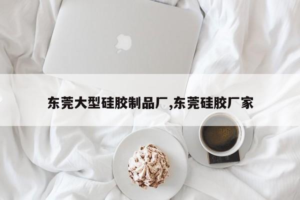 东莞大型硅胶制品厂,东莞硅胶厂家
