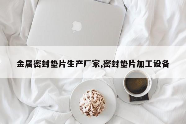 金属密封垫片生产厂家,密封垫片加工设备