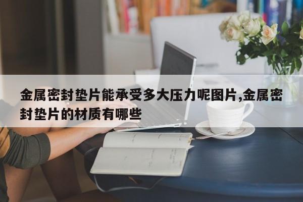 金属密封垫片能承受多大压力呢图片,金属密封垫片的材质有哪些