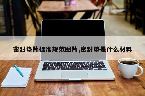 密封垫片标准规范图片,密封垫是什么材料