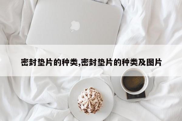 密封垫片的种类,密封垫片的种类及图片