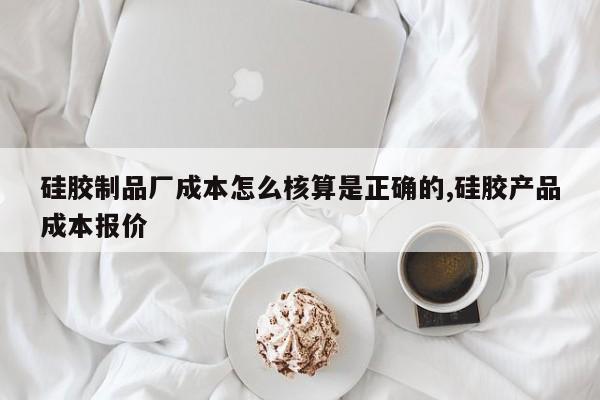 硅胶制品厂成本怎么核算是正确的,硅胶产品成本报价