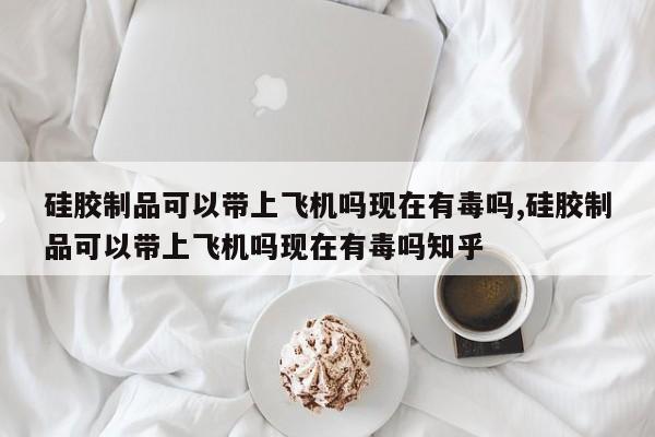 硅胶制品可以带上飞机吗现在有毒吗,硅胶制品可以带上飞机吗现在有毒吗知乎